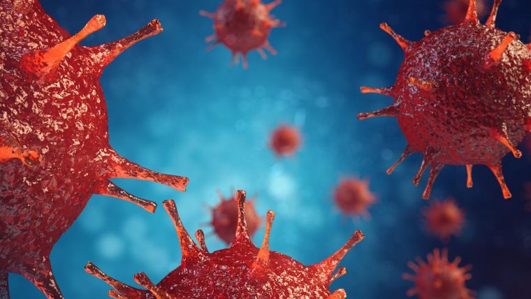 le coronavirus et le système immunitaire 