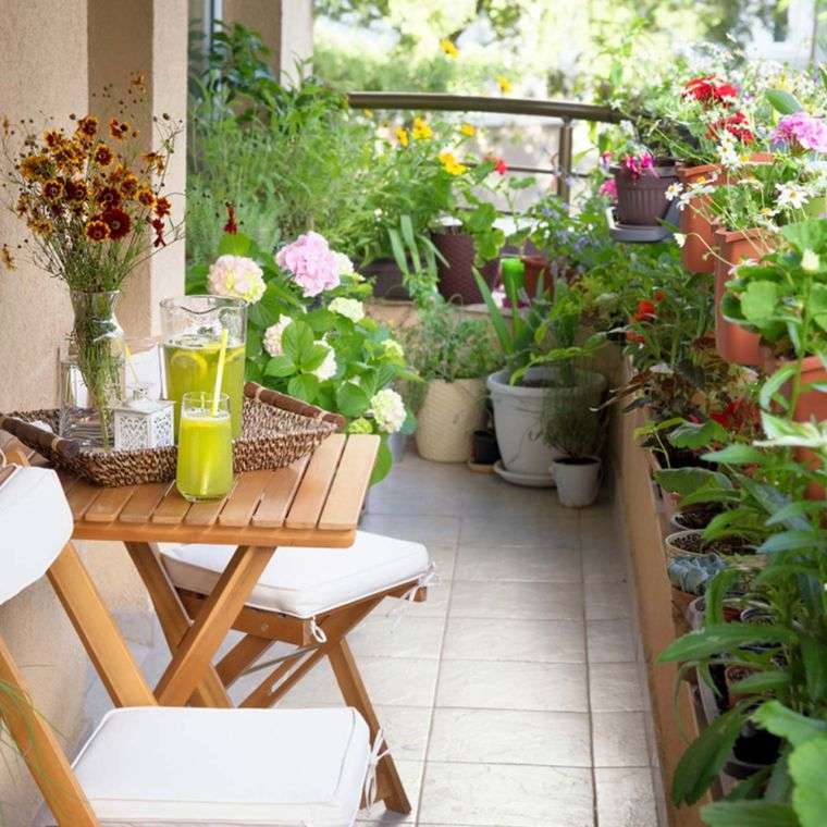 aménagement petit patio avec des plantes vertes