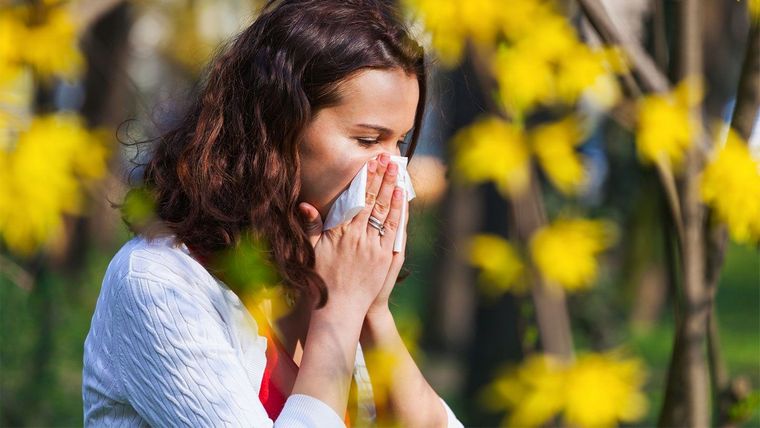 explications plausibles hausse allergies