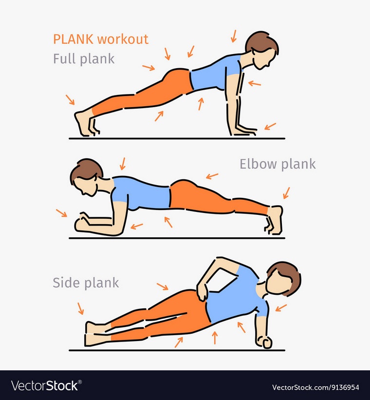 plank exercice vector comment faire