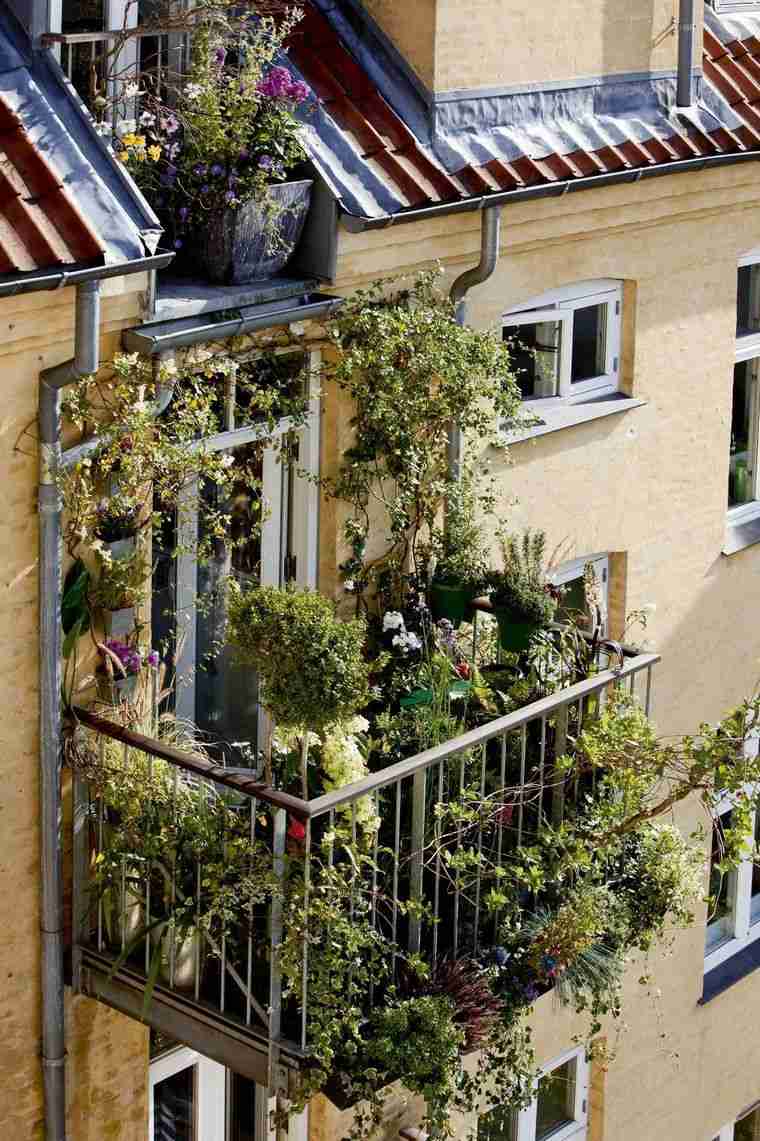 plantes montant suspendues balcon