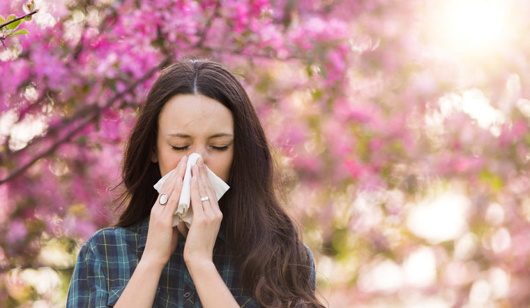 quelques facteurs prendre compte hausse allergies