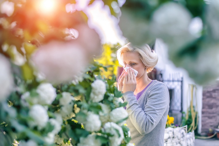 savoir pourquoi allergie au pollen