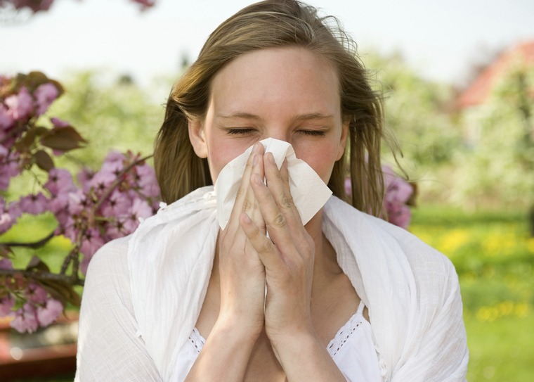 théorie environnement expliquant allergies
