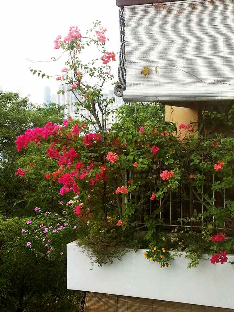 verdure flore permettant être nue sur le balcon