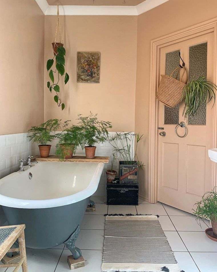 plantes vertes salle de bain avec fougière 