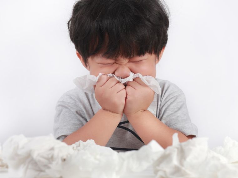 rhinite allergique saisonnière et le nez qui coule 