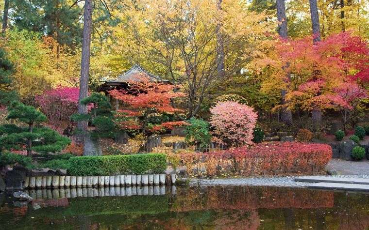 idée aménagement jardin japonais 