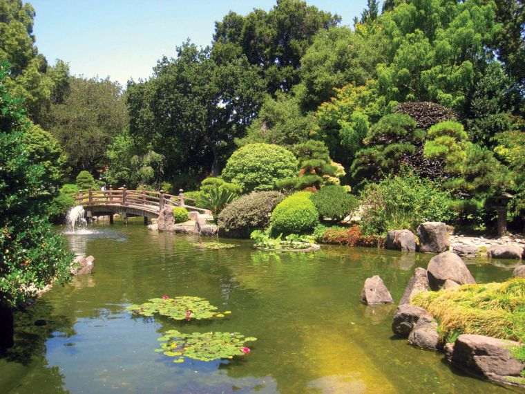 aménagement jardin japonais avec lac 