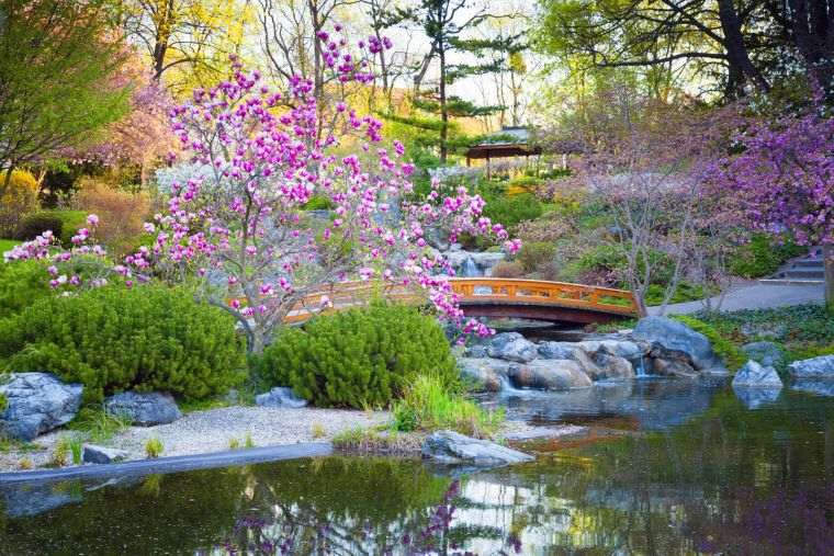 aménagement jardin japonais traditionnel 