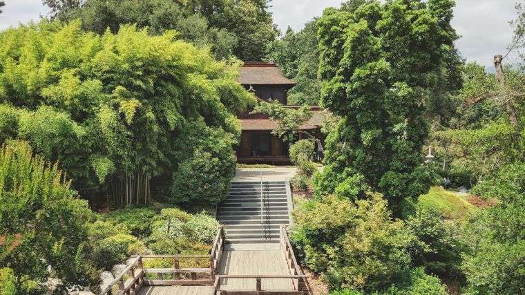 idée de jardin japonais 