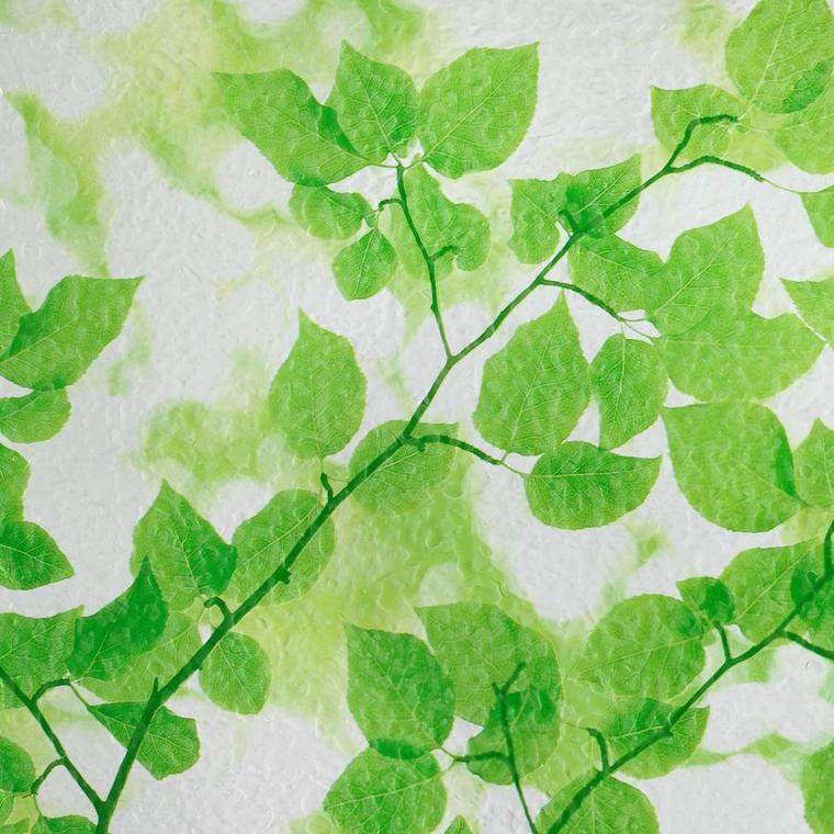 papier peint réaliste image feuilles