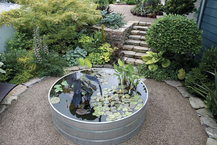 mini bassin de jardin aménagement