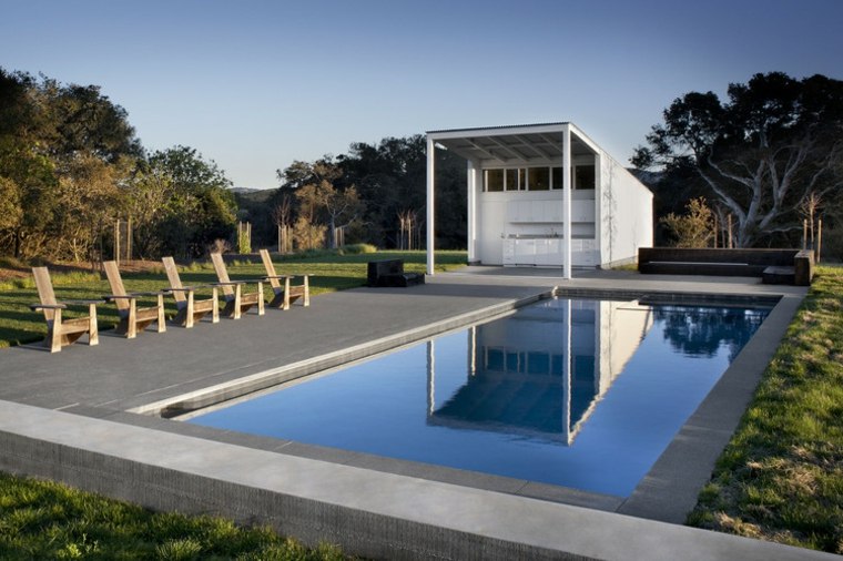 piscine moderne terrasse design