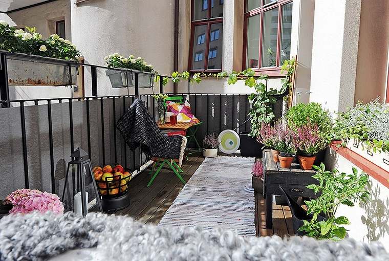 cacher vis à vis balcon plantes