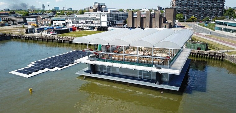 ferme flottante à Rotterdam