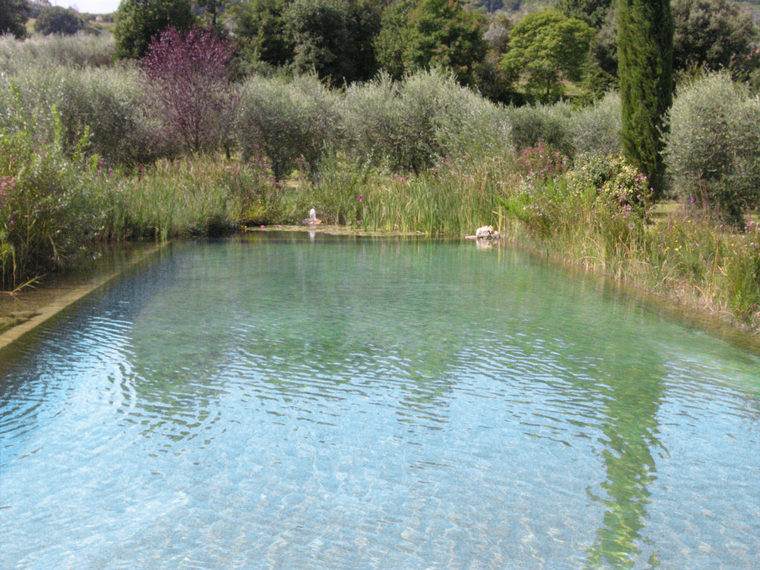 piscine biologique coeur nature