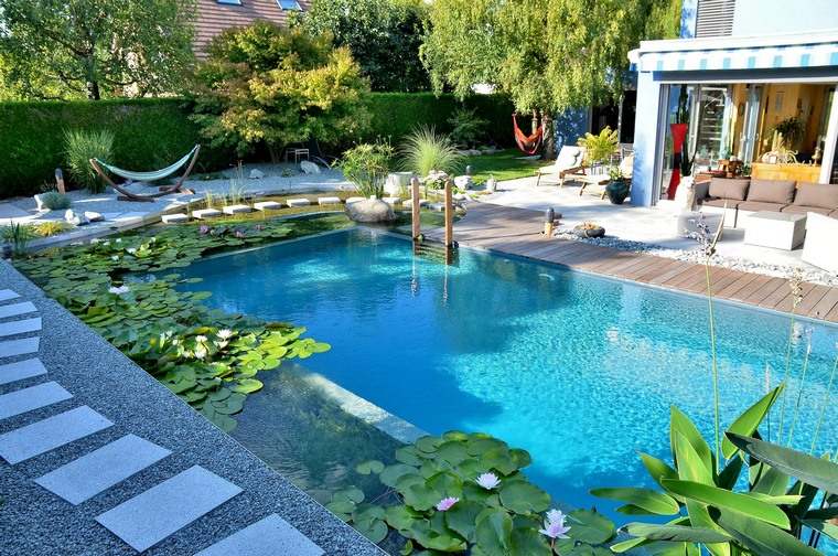 piscine hybride entre traditionnelle naturelle