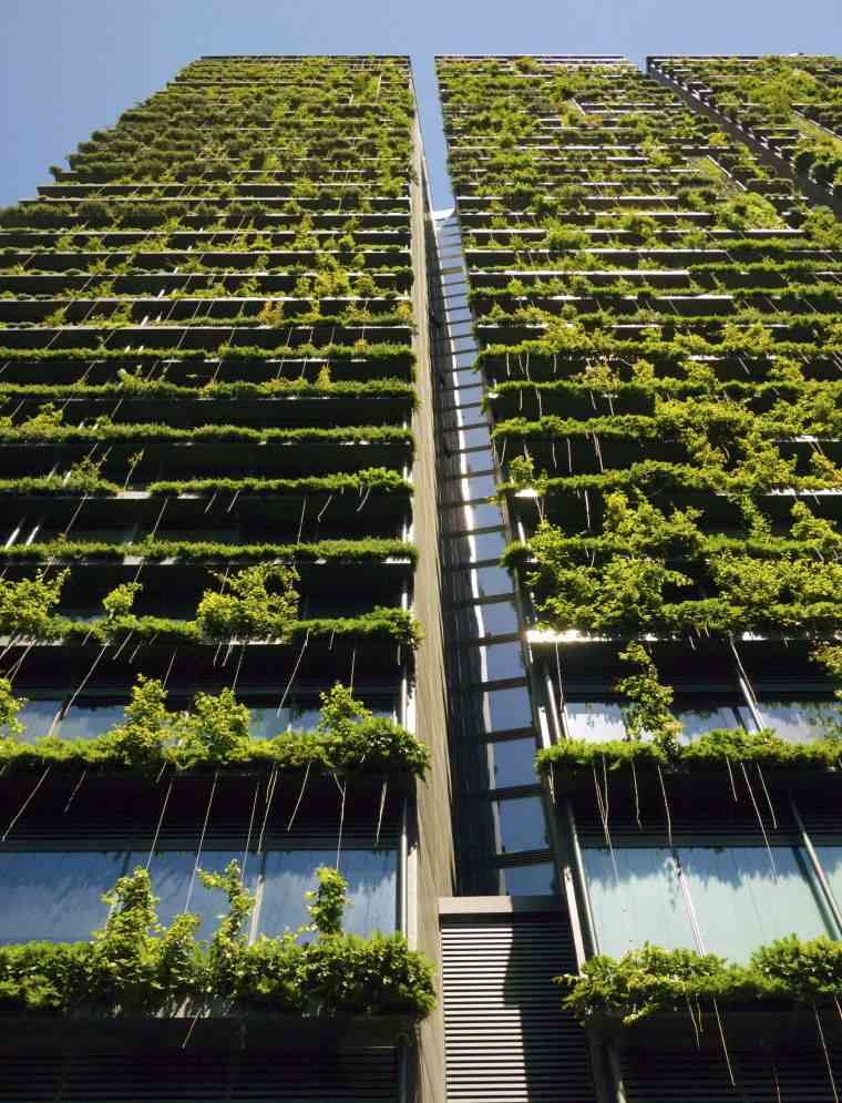 bâtiment avec mur végétal à Sydney