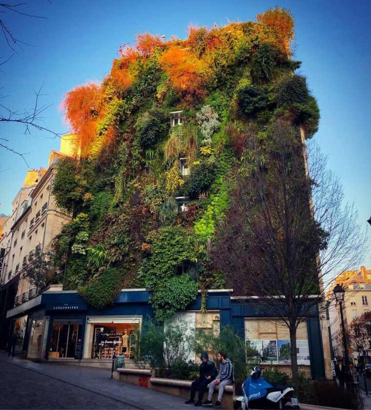 bâtiment vert l'Oasis Aboukir à Paris 