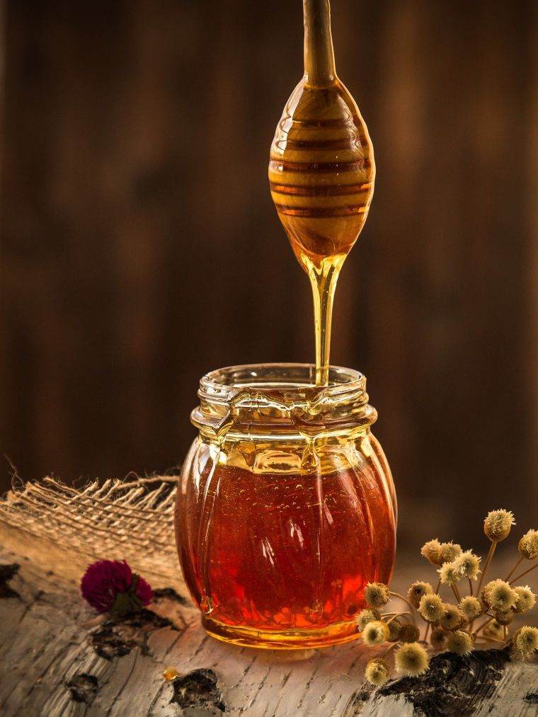 le miel antibiotiques maladies