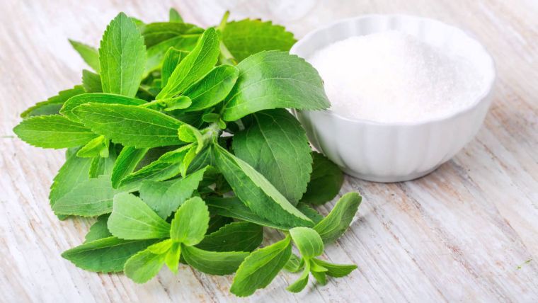 stevia comme alternative au sucre