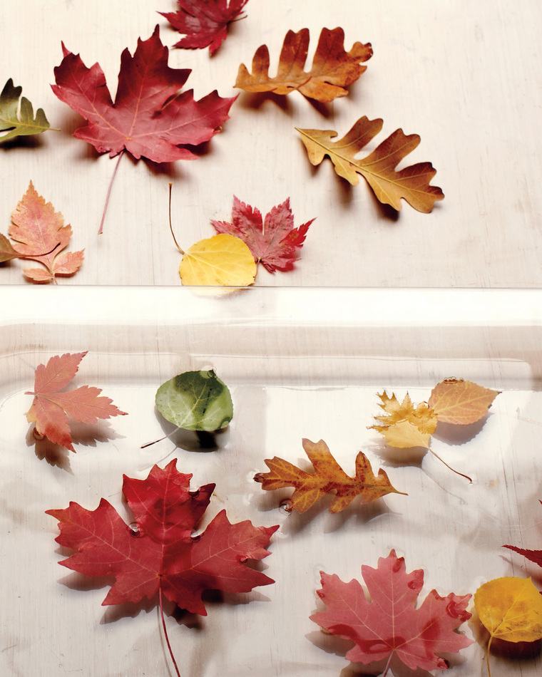 déco table automne feuilles