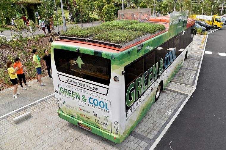 transport en commun toit vert