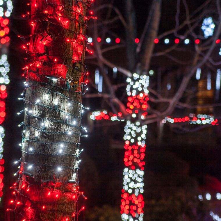 décoration de Noël extérieur avec arbres lumineux