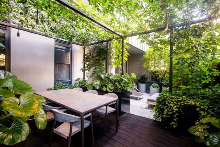 jardin moderne petit espace