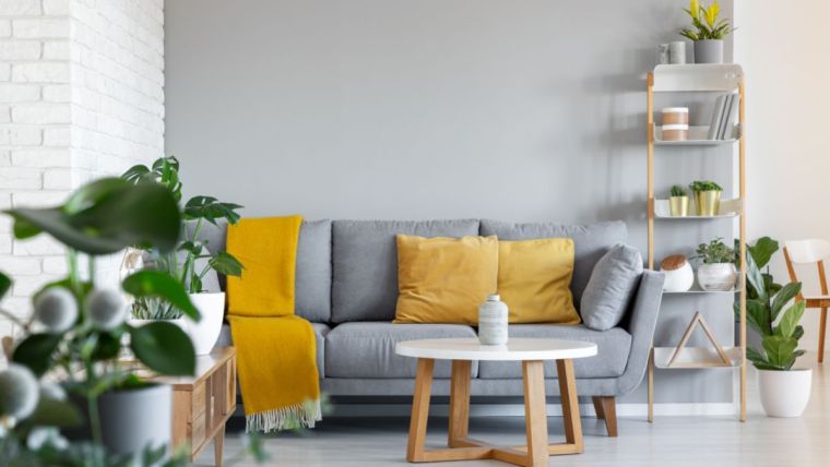 salon design moderne avec canapé 