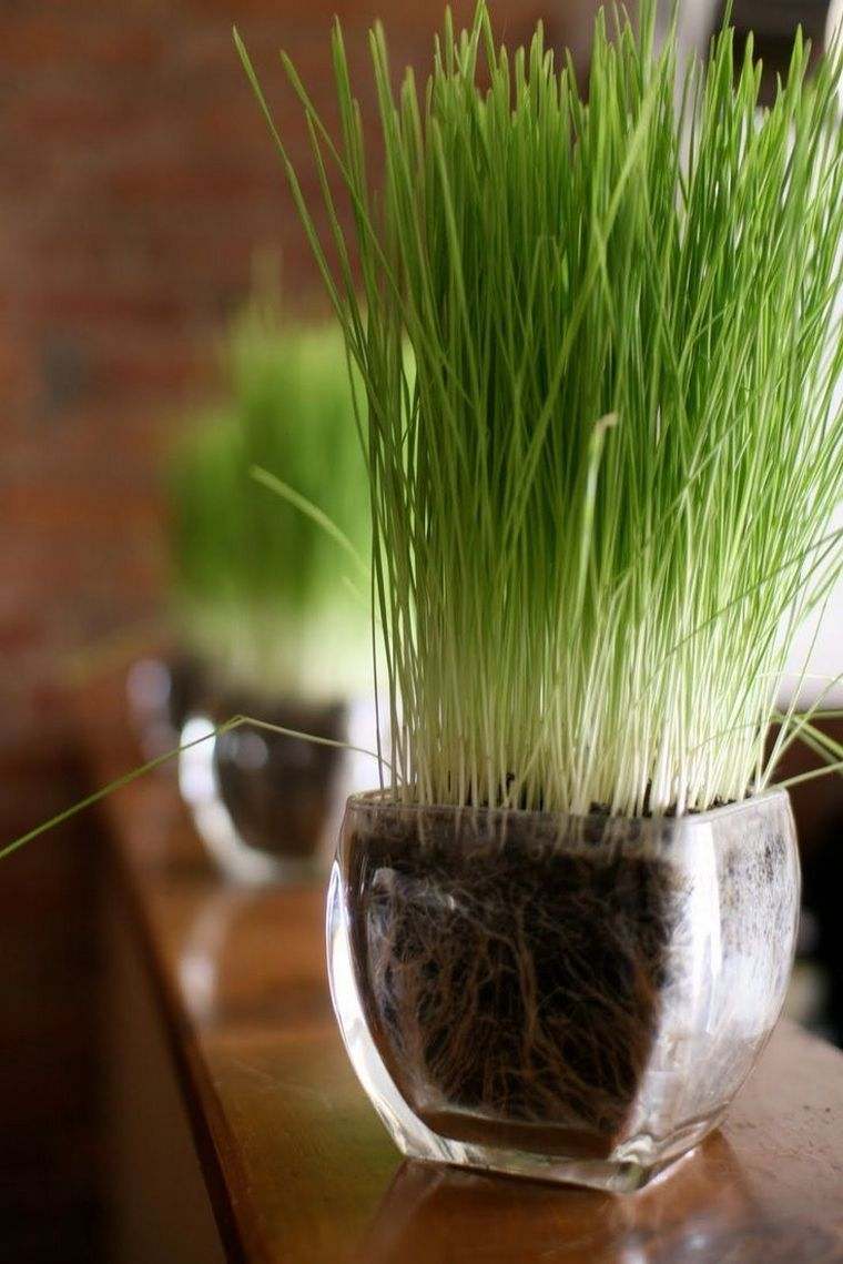déco simple moderne herbe en blé