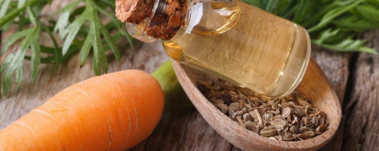 huiles essentielles anti-âge de carotte sauvage 