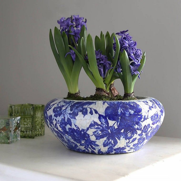 vase fleurs bleues grosses bulbes