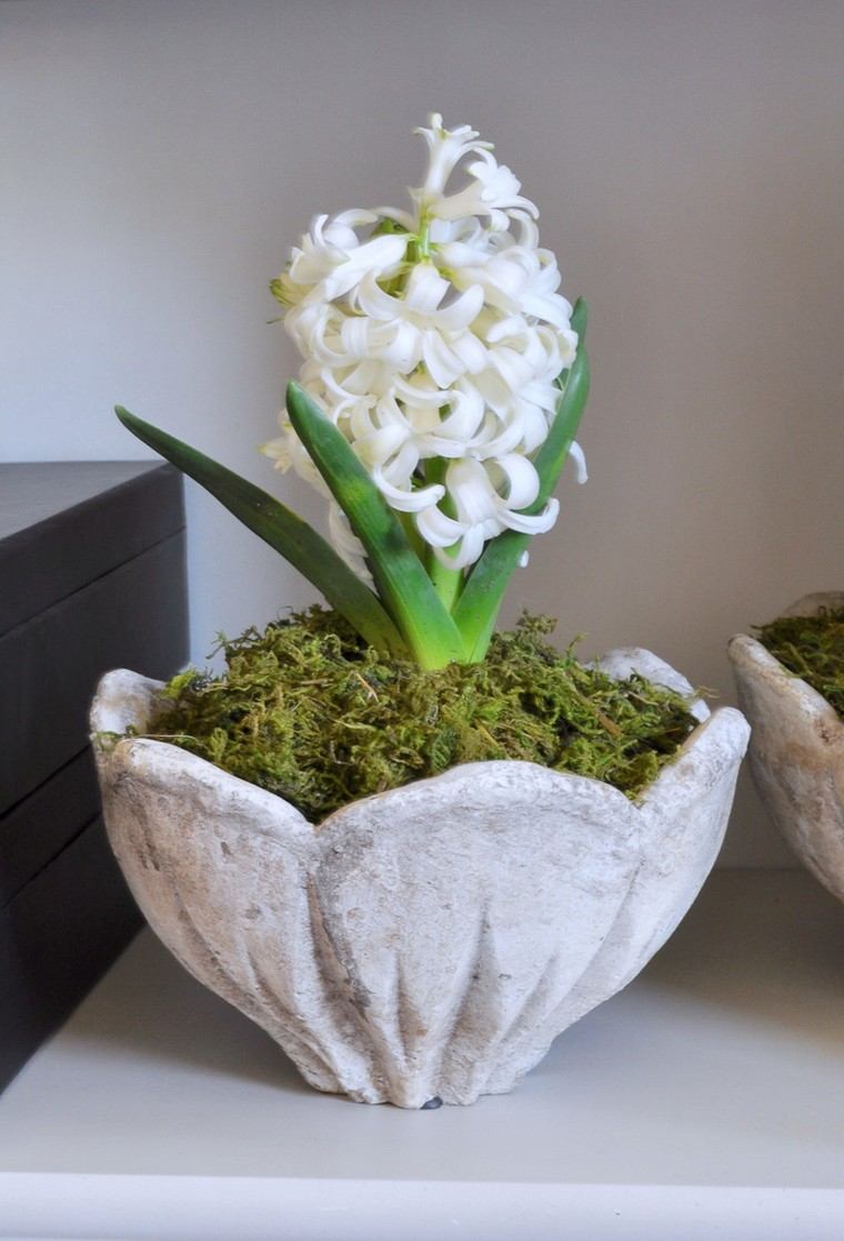 vase pierre la jacinthe blanche