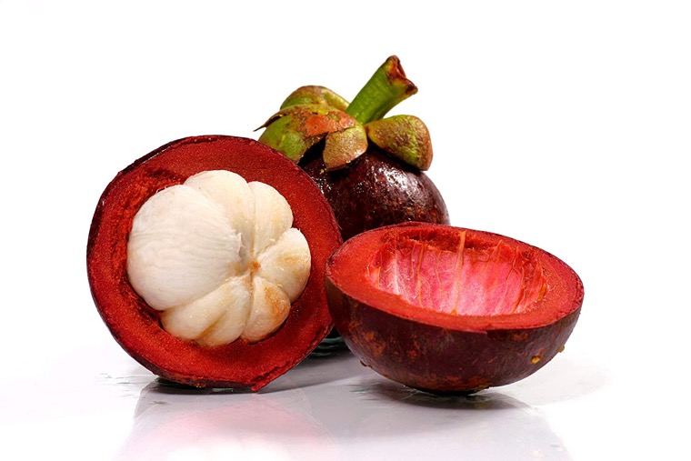 fruit arbre kokum rouge