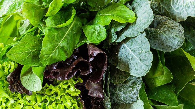 légumes verts feullus comme aliments contre cancer du sein