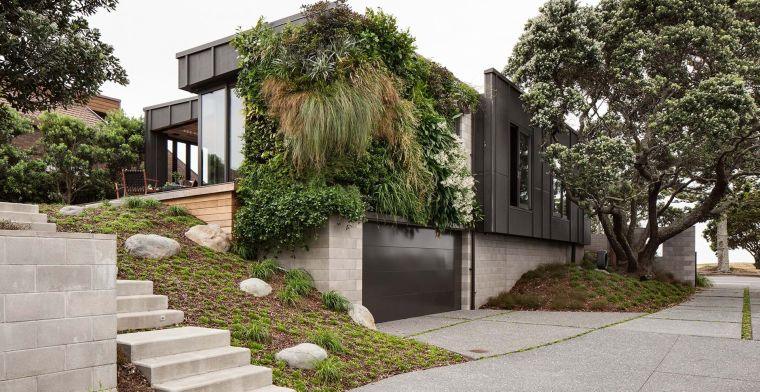 déco de maison moderne avec mur végétalisé 