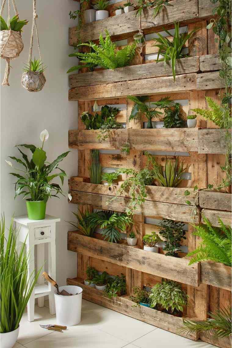 déco de mur végétalisé avec des plantes 