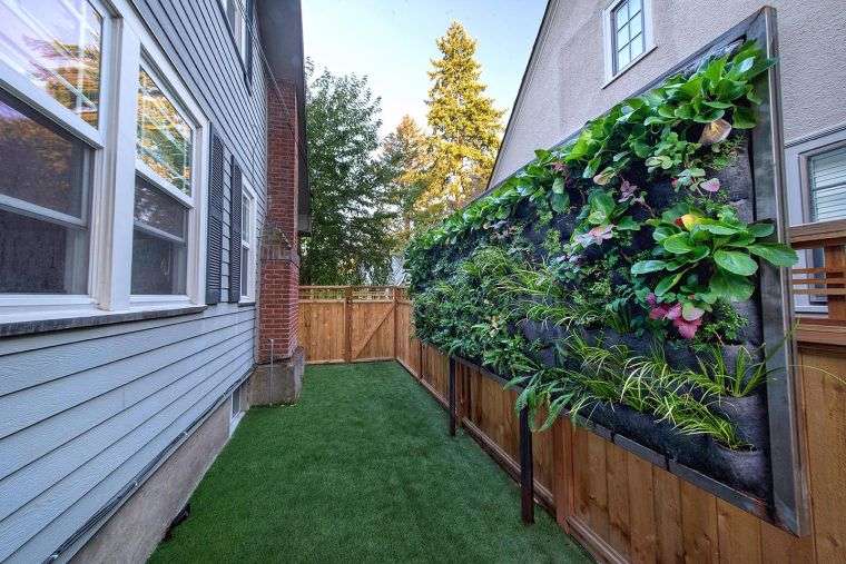 création d'un mur végétal extérieur
