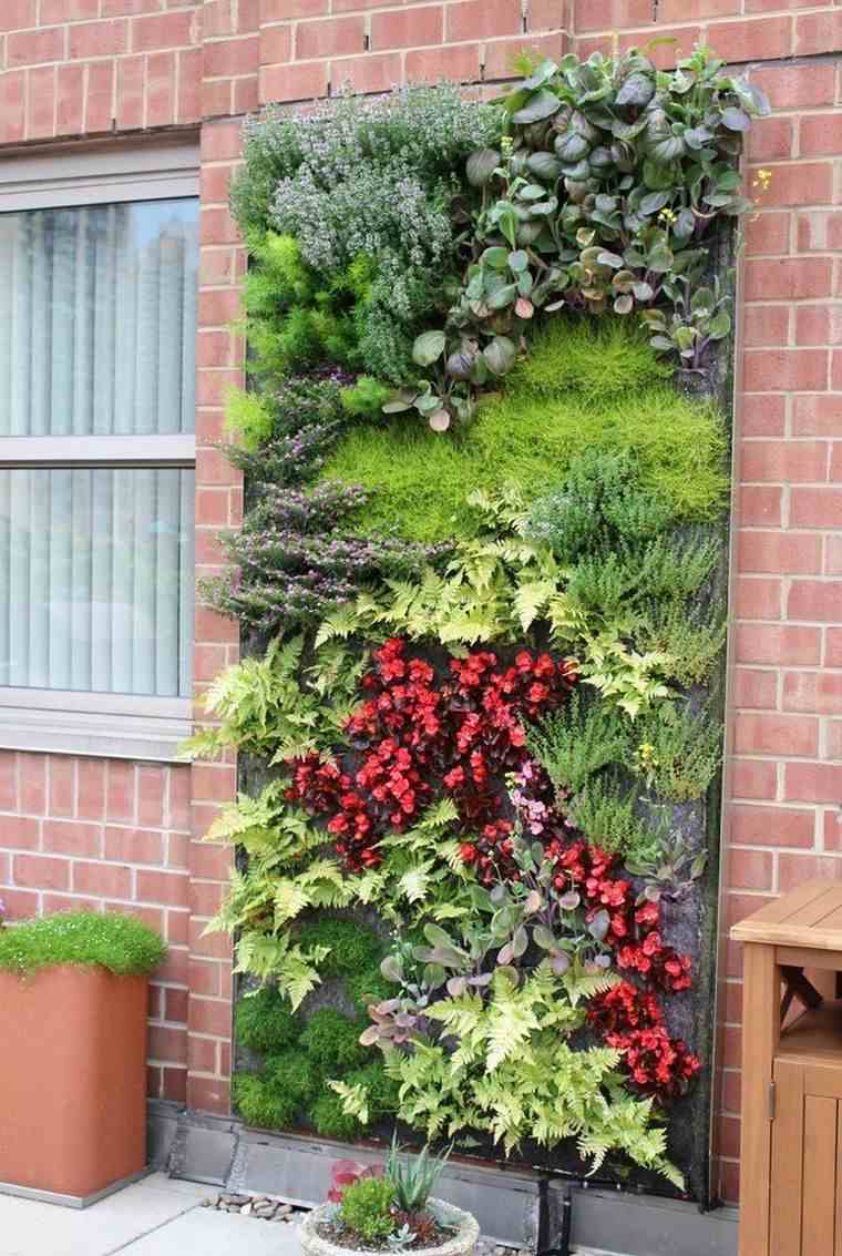 mur végétal extérieur 