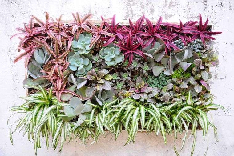 petit mur végétal de jardin DIY