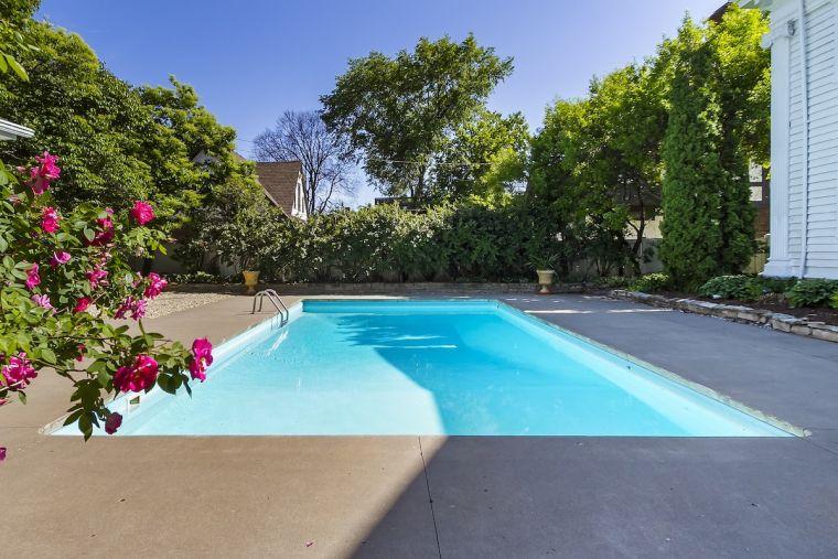 piscine moderne avec arbres de jardin 
