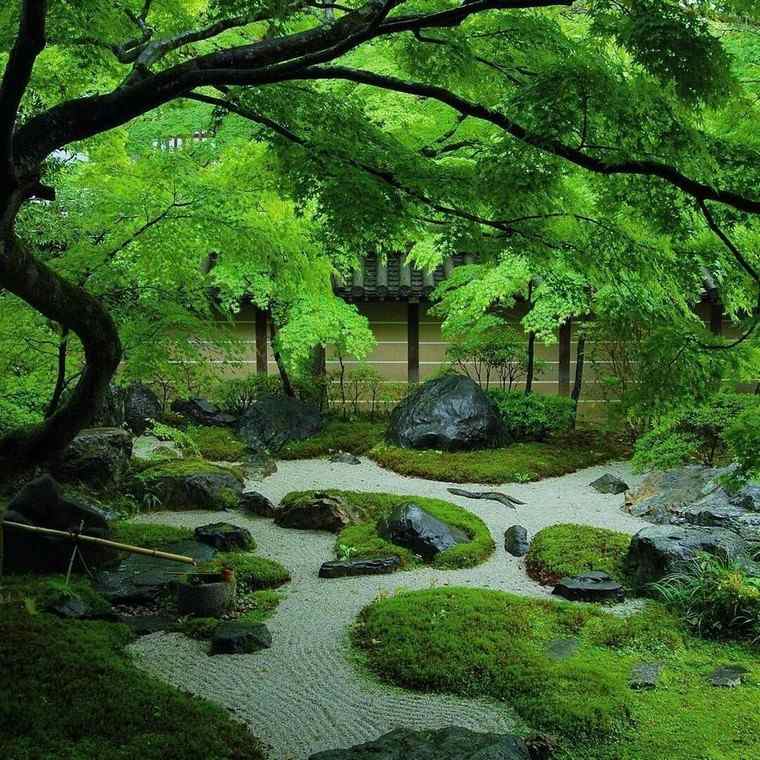 idée déco jardin zen extérieur verdure