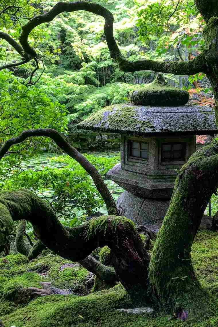 japon jardin extérieur zen
