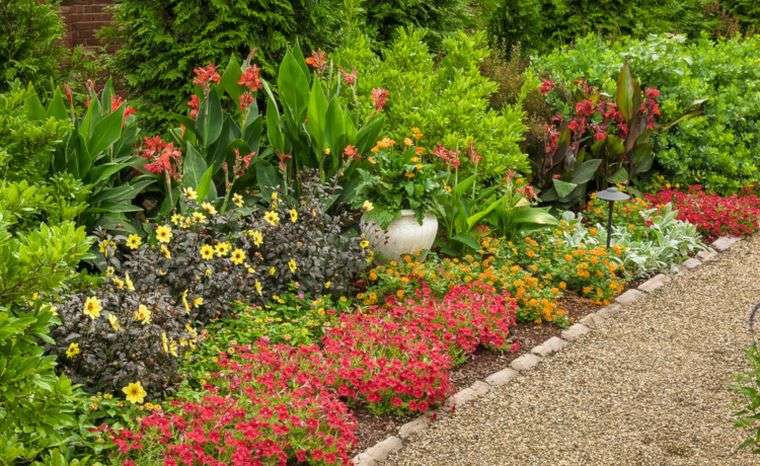bordure de jardin moderne plantes fleurissantes