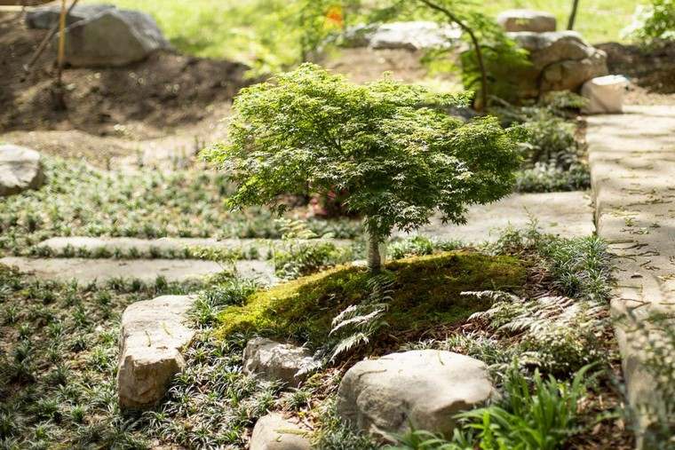 jardin japonais petit zen