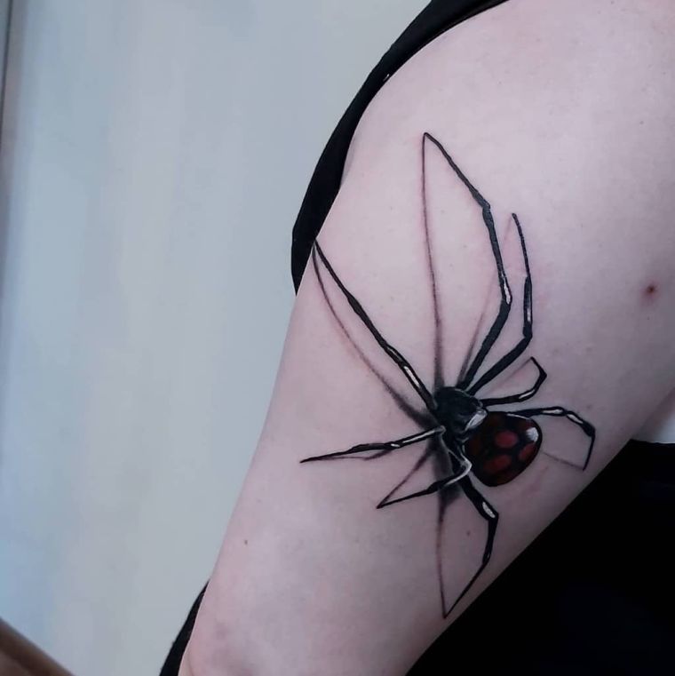 tatouage 3D d'araignée 