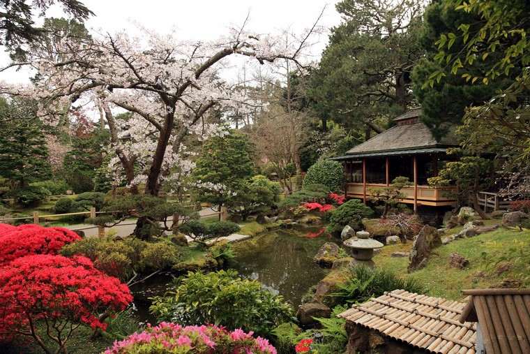 très beau jardin japonais