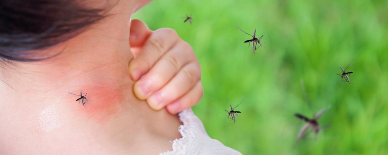 comment éviter les piqures de moustiques spray huiles